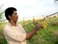 Horticulture Therapy-Kancheepuram Home